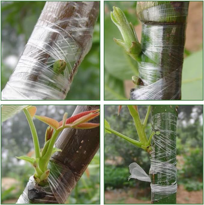 TIJERA PARA INJERTAR Y PODAR - PLANTMASTER™